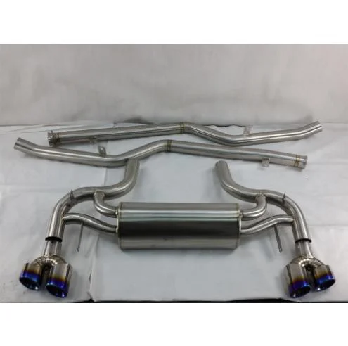 SLS Catback with Muffler