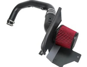 Cold Air Intake System for 2013-2017 Ford Focus ST 2.0L L4